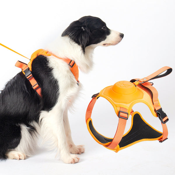 Extendable Dog Leash and Harness