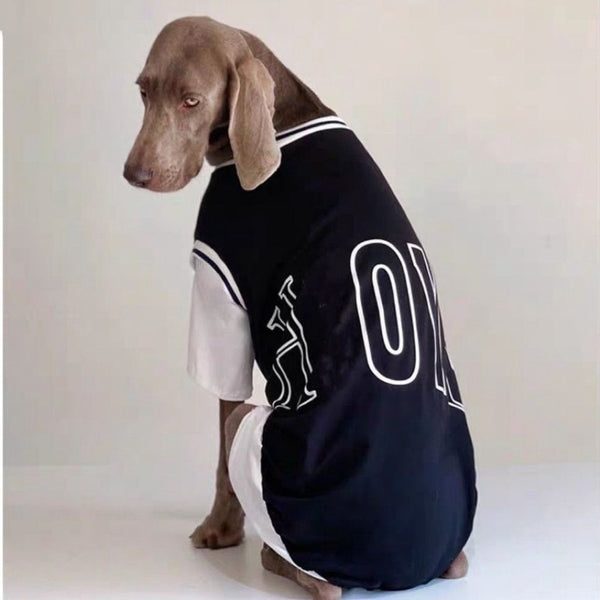 Dog Summer Comfort Shirt
