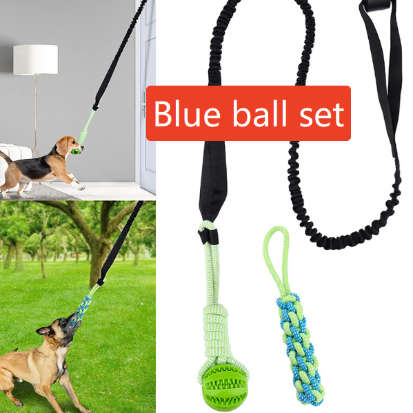 Dog Chew Toy with Rope and Ball