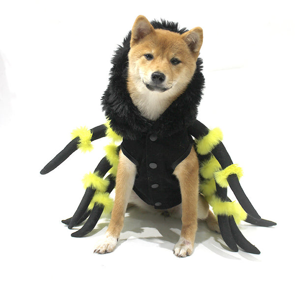 Spider Costume for Dogs