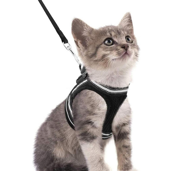 Adjustable Reflective Pet Harness with Leash