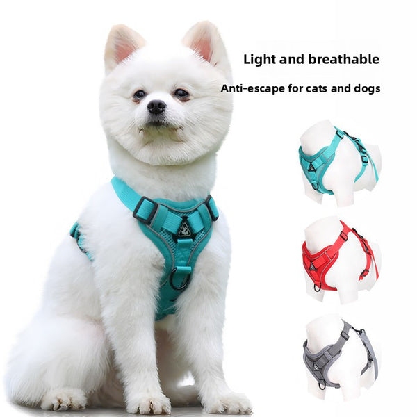 Pet Leash with Adjustable Straps