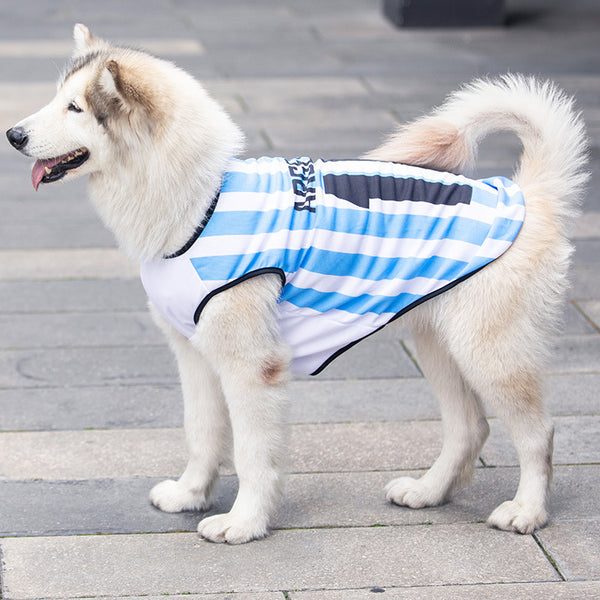 Sports Vest for Dogs