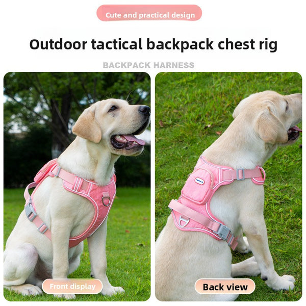 Buckle and Strap Dog Leash