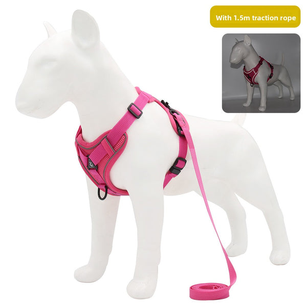 Pet Leash with Adjustable Straps