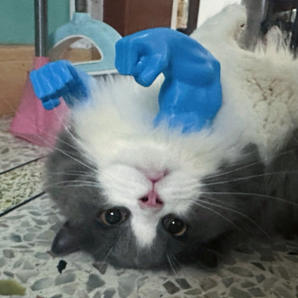 Giant Arm Cat Toy
