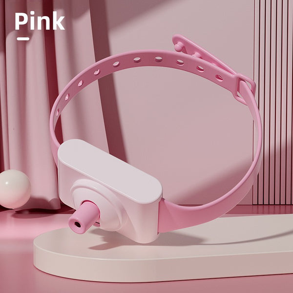 Cat Laser Collar Toy