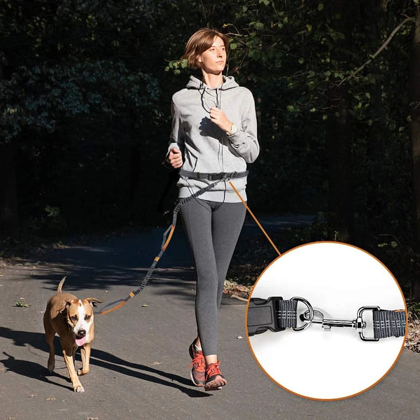 Adjustable Hands-Free Dog Leash