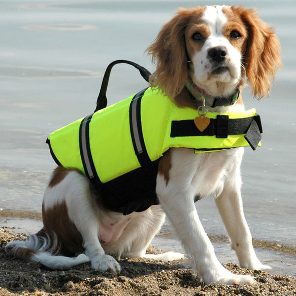 Dog Safety Swimming Vest