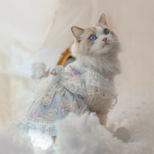 Floral Cat Dress with Lace Trim