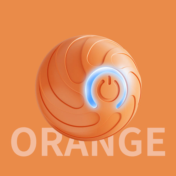 Smart Dog Bouncing Ball