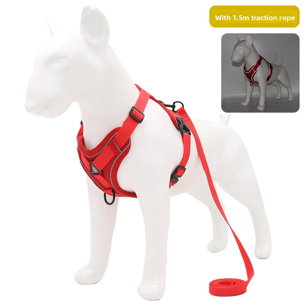 Pet Leash with Adjustable Straps