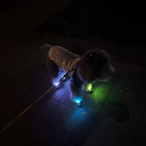 Dog Shoes with Flashing Lights